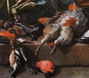 Melchior de Hondecoeter Still life with birds oil painting